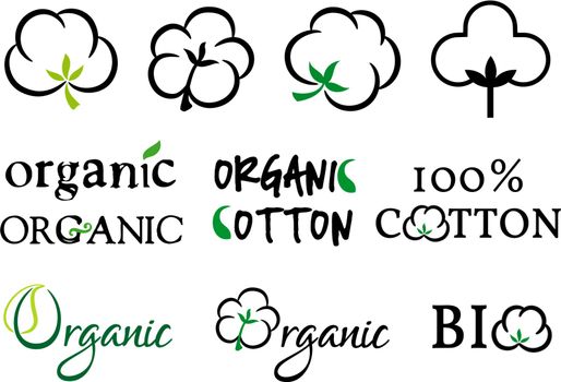 Organic cotton, vector set