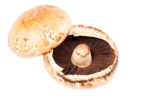 Portabello mushrooms horizontal