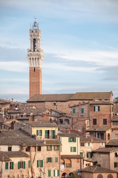 landscape of siena with tower of Mangia