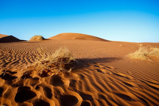 sand dunes at Sossusvlei, Namibia