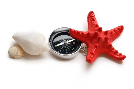 Compass, seastar and seashells on white