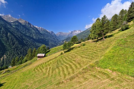 Trentino - Pejo valley