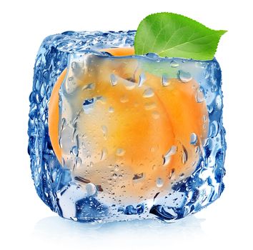 Apricot in ice cube