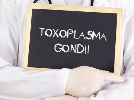 Doctor shows information: Toxoplasma gondii