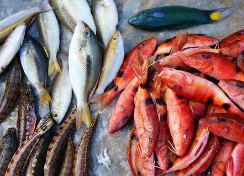 Fresh seafood, Vietnam fish market, nutrition food