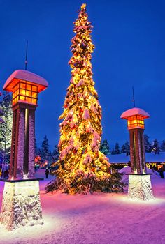Christmas tree in Santa Claus village at Arctic Circle near Rova