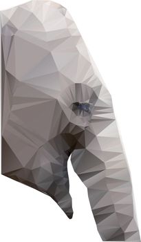 Polygonal illustration of head of elephant isolated on white background