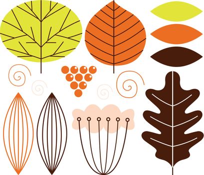 Stylish autumn illustration. New in shop! Luxury fruit and leaves