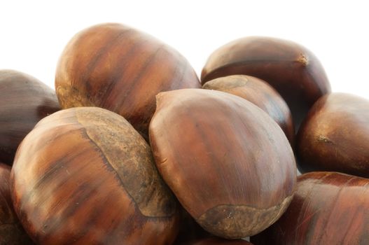 background of chestnut