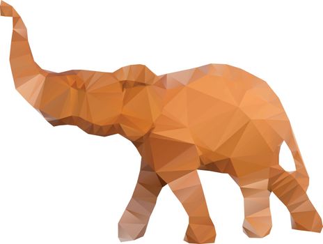 Polygonal illustration of head of elephant isolated on white background