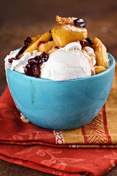 Delicious Vanilla Ice Cream with Apple Cranberry Crisp