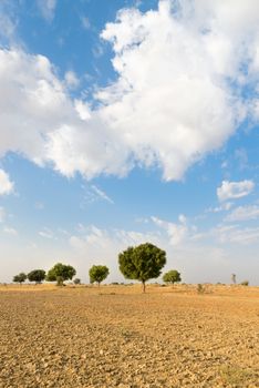 Agricultural ploughed land field in desert