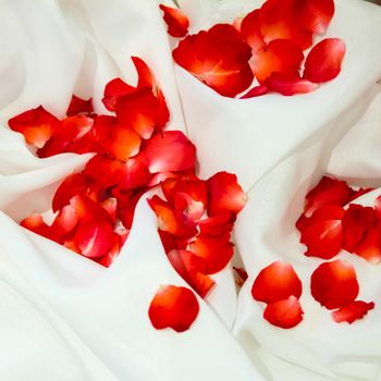 Rose petals on white fabric with background