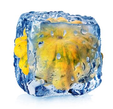 Gourd in ice cube