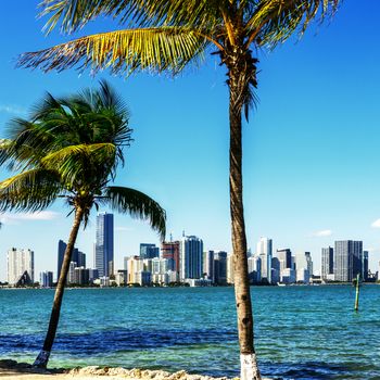 Miami Downtown skyline