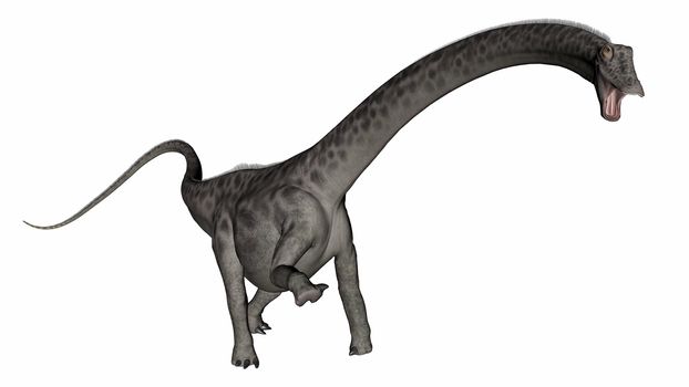 Diplodocus dinosaur head up - 3D render