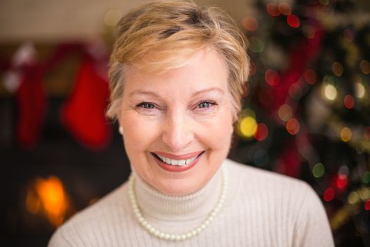 Portrait of a smiling active seniors at christmas