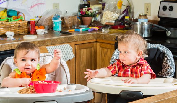 Two babies eating breakfast together in highchairs