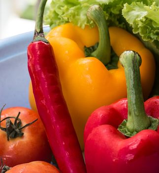Bell Pepper Vegetables Meaning Red Yellow Peppers And Red Yellow Peppers