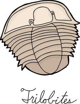 Single Trilobite Drawing