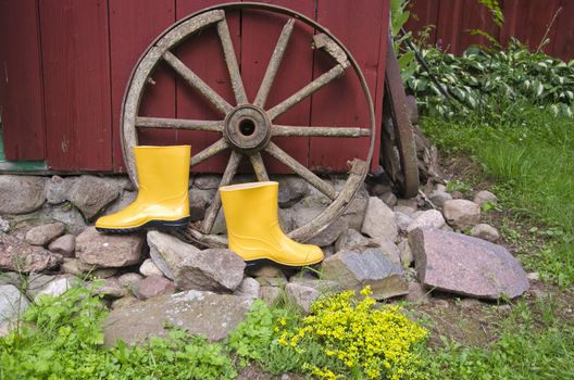 yellow gardener rubber boots in farm near old wheel