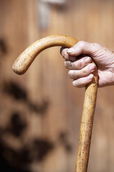 hand holding a cane
