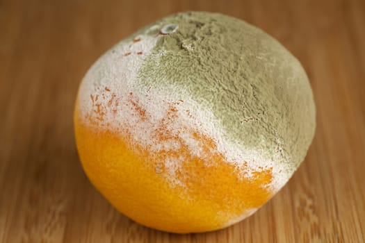rotted mandarin