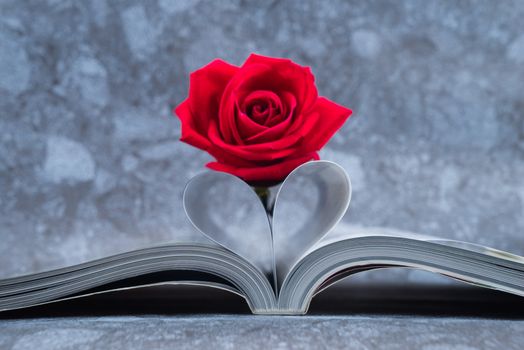 Rose placed on the books page that is bent into a heart shape on granite rock background