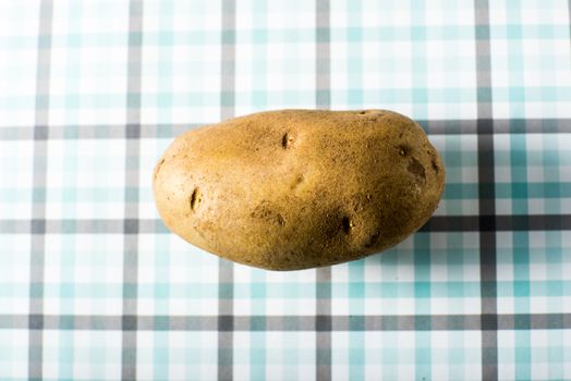 Raw Potato on a colorful background