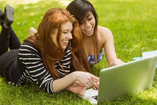Happy relaxed women using laptop in park