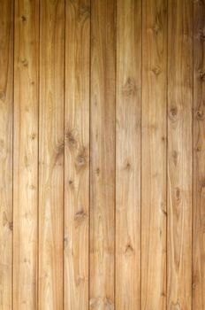 Vertical wooden planks texture