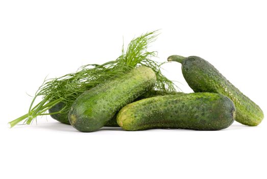 Gherkins with dill on white background.
