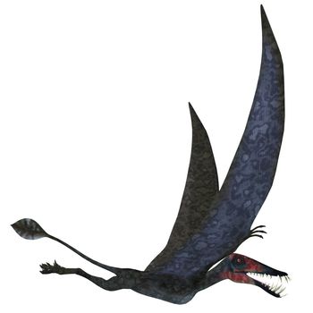 Dorygnathus Pterosaur over White
