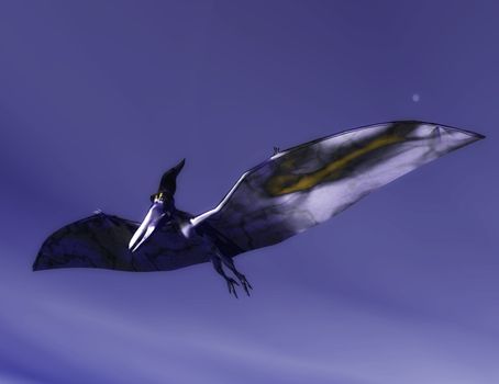 Digital Illustration of a Pteranodon