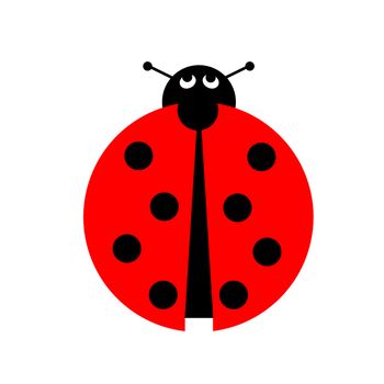 Ladybug illustration on white background.
