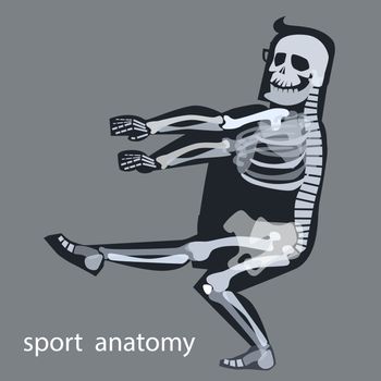 Skeleton anatomy sport male gymnastics