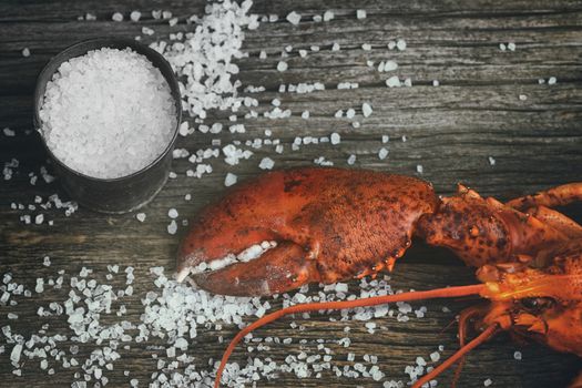Cooked lobster claw with sea salt on wood
