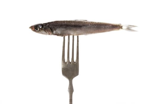 Fresh fish on fork.