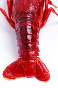 Delicious crayfish