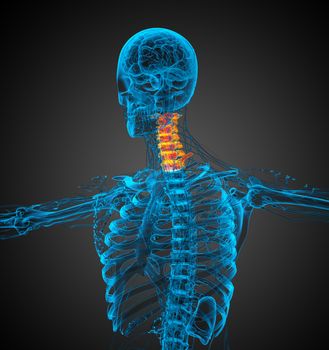 3d render medical illustration of the neck bone