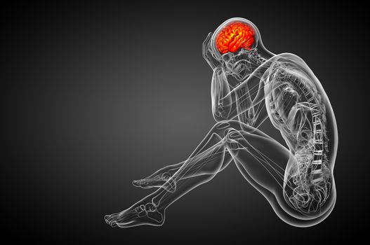3D medical illustration of the brain  