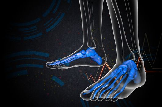 3d render medical illustration of the foot bone - front view