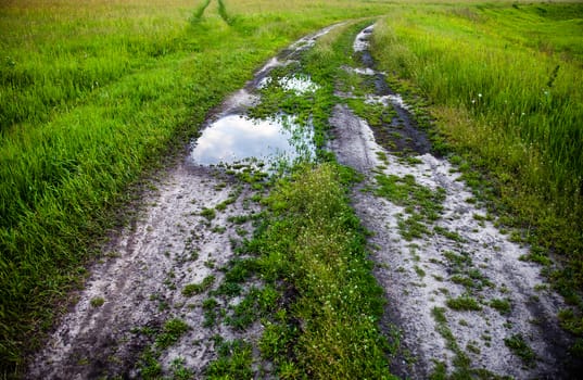 Dirt road with puddles in the green field