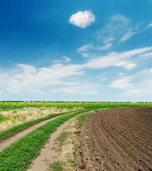 agriculture landscape under blue sky with clouds