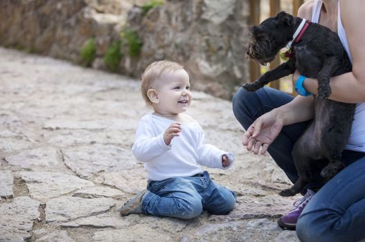 Cute little boy looking at dog in mother's hands