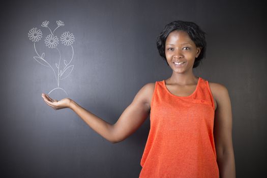 South African or African American woman teacher or student against blackboard growing flowers