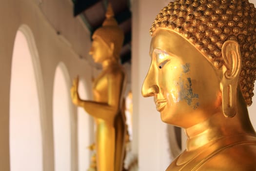 Buddha statue at Phra Prathom Jedi, Thailand
