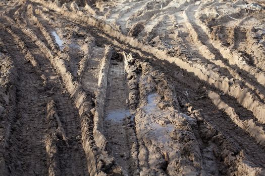 Wheel ruts on the muddy dirt road