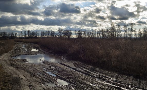 Mud and puddles on the dirt road near Kyiv