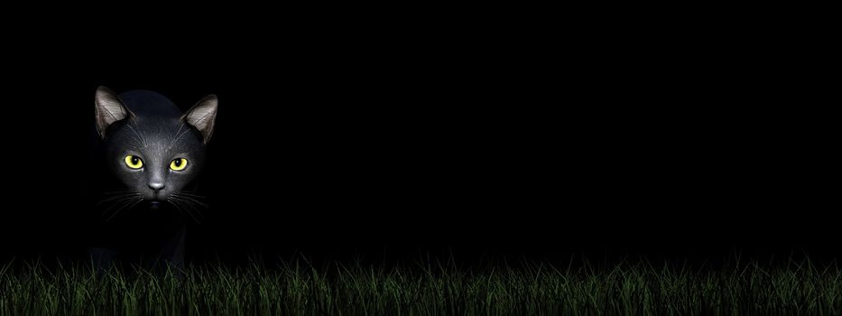 Black cat eyes in dark background - 3D render